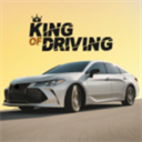 驾驶之王最新版(King of Driving) v0.80安卓版