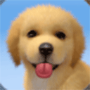 梦幻小狗最新版 v2.2.7安卓版