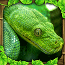蟒蛇模拟器最新版(Snake Sim) v1.5安卓版