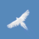 Sky Bird天之鸟 v1.0.2安卓版